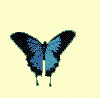 mariposa89.gif