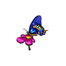 mariposa91.gif