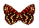 mariposa93.gif