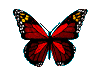 mariposa94.gif