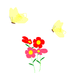 mariposa95.gif