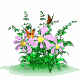 mariposa96.gif
