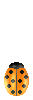 mariquita17.gif