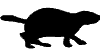 marmota01.gif