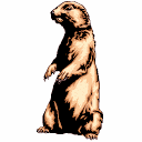 marmota02.gif