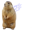 marmota09.gif