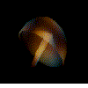 medusa01.gif