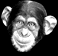 mono09.gif