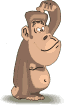 mono14.gif