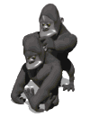 mono23.gif