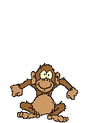 mono34.gif