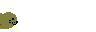 morsa06.gif