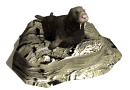 morsa13.gif