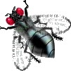 mosca01.gif