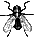 mosca08.gif