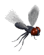 mosca12.gif