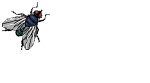 mosca15.gif