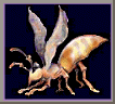 mosquito10.gif