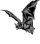 murcielago01.gif