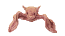 murcielago14.gif