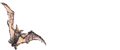 murcielago20.gif