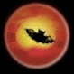 murcielago30.gif