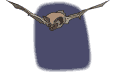 murcielago32.gif