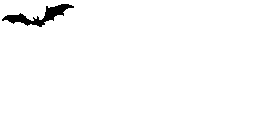 murcielago71.gif