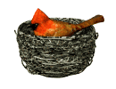 nidos01.gif