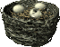 nidos03.gif