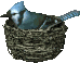 nidos04.gif