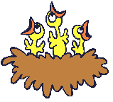 nidos08.gif