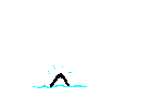 orca05.gif