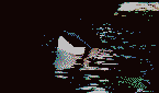 orca07.gif