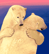 oso-polar16.gif