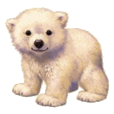 oso-polar17.gif