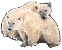 oso-polar21.gif