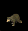 oso149.gif