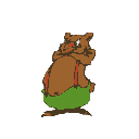 oso154.gif