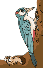 pajaro-carpintero02.gif