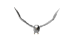 paloma02.gif