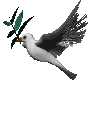 paloma03.gif