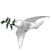 paloma06.gif