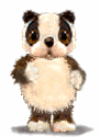 panda28.gif
