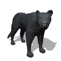 pantera01.gif