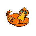 pato03.gif