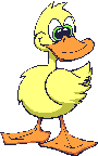 pato04.gif