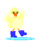 pato14.gif