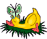 pato27.gif