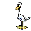 pato40.gif